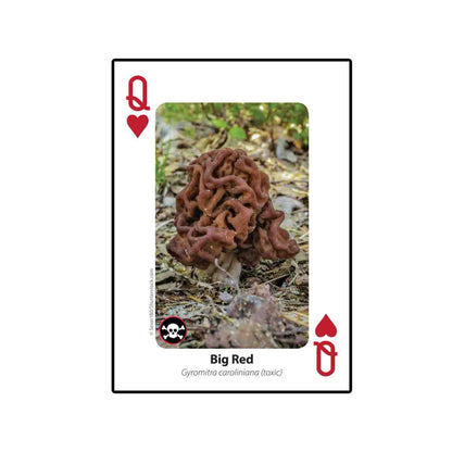 Mushrooms Playing Cards