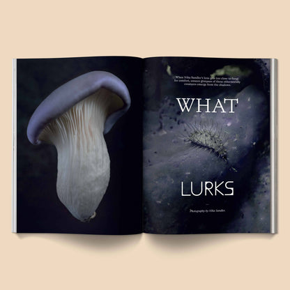 Mushroom People Magazine: Volume 2