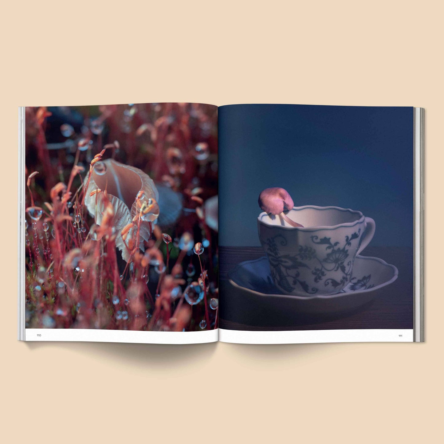 Spores: Magical Mushroom Photography Book