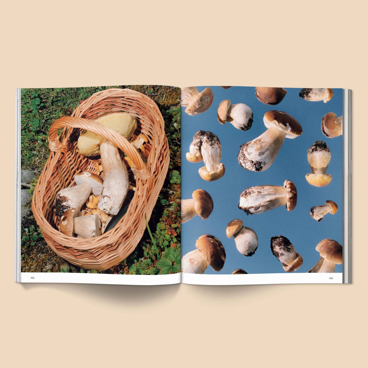 Spores: Magical Mushroom Photography Book