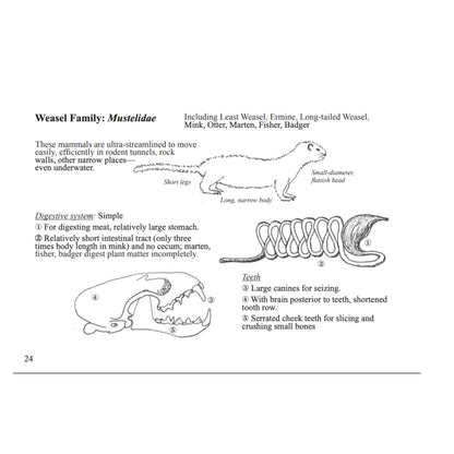 Scat Finder