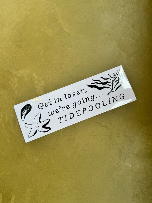 Tidepooling - Bumper Sticker