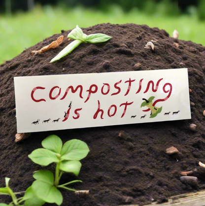 Composting is Hot by Tess Rubinstein