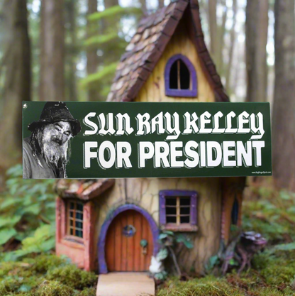 Sun Ray Kelly for President by Nate Hooper