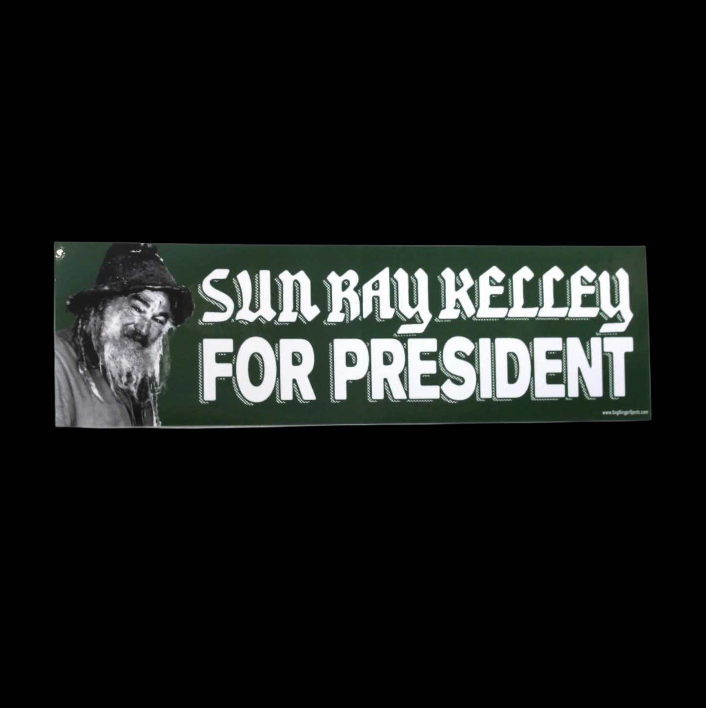 Sun Ray Kelly for President by Nate Hooper