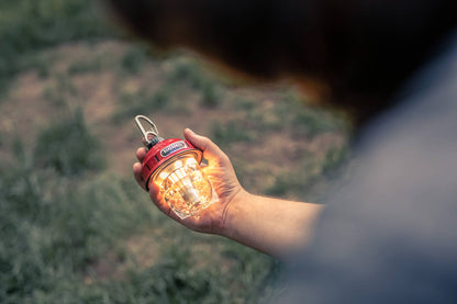 Beacon Hanging Light in Olive Drab