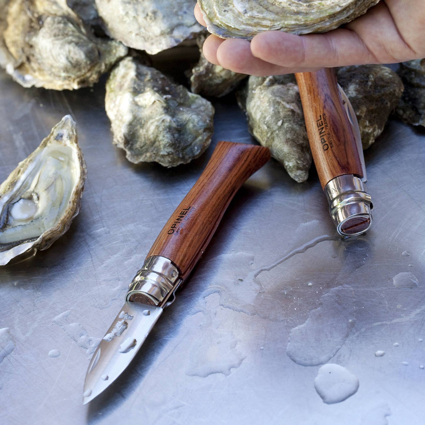 N°9 Oyster Knife with Padouk Handle