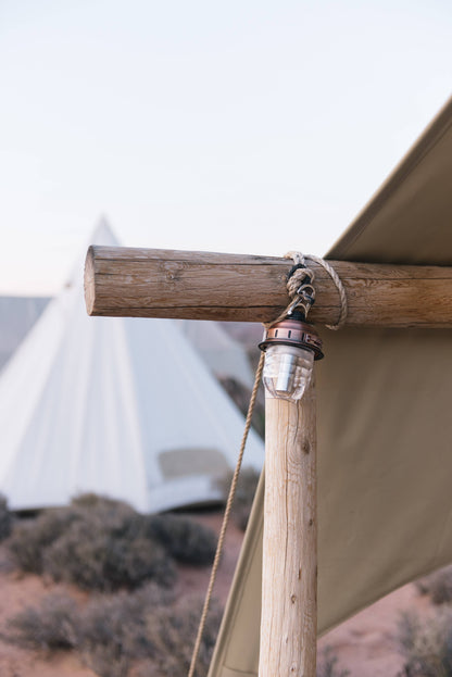 Beacon Hanging Light in Olive Drab