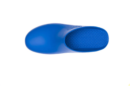 Blue Clog